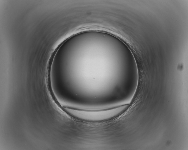 X0000095521518200712141434