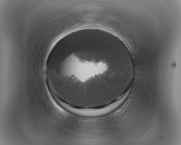 X0000095521519200712141434