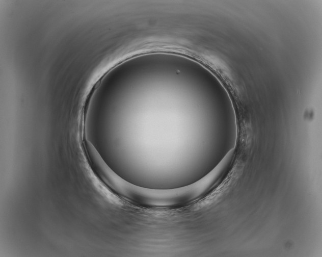 X0000095521520200712141434