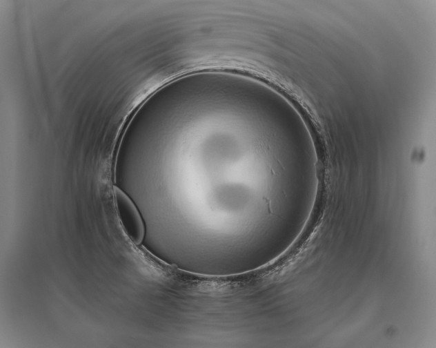 X0000095521521200712141434