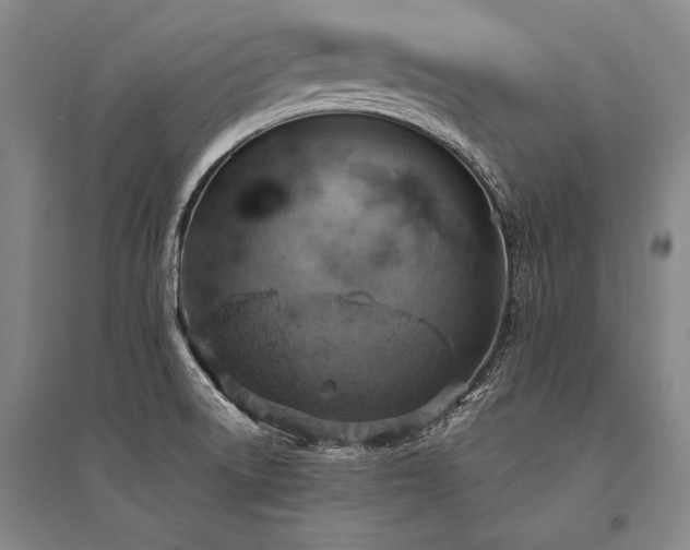 X0000095521522200712141434
