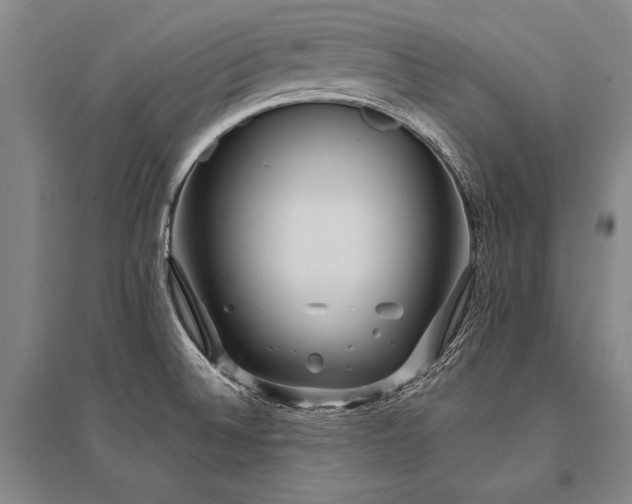 X0000095521524200712141434