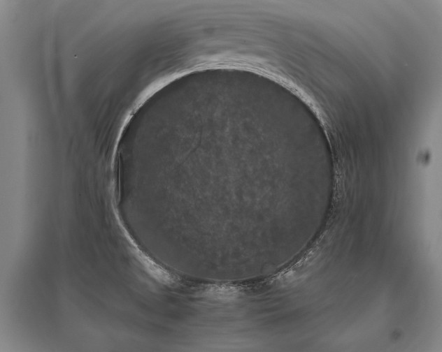 X0000095521525200712141434