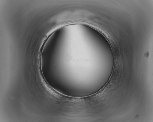 X0000095521526200712141434