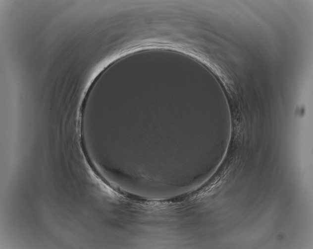 X0000095521527200712141434