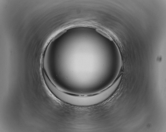 X0000095521528200712141434