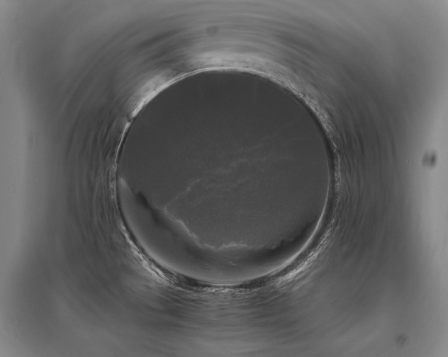 X0000095521529200712141434