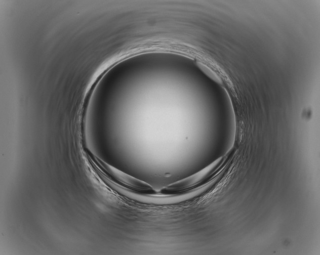 X0000095521530200712141434
