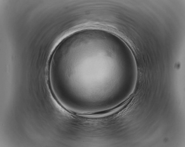 X0000095521531200712141434