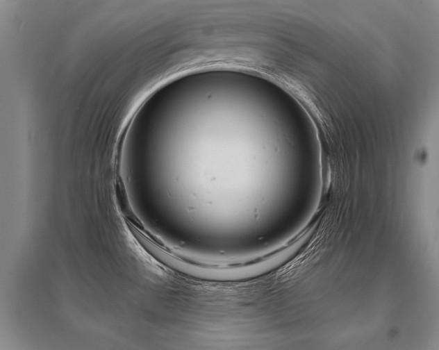 X0000095521532200712141434