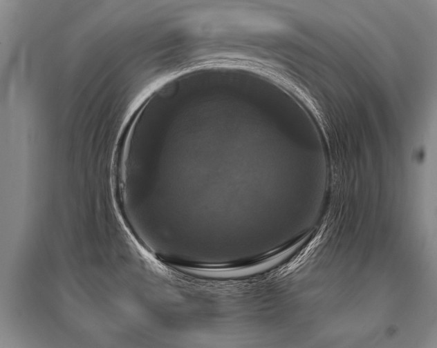X0000095521533200712141434