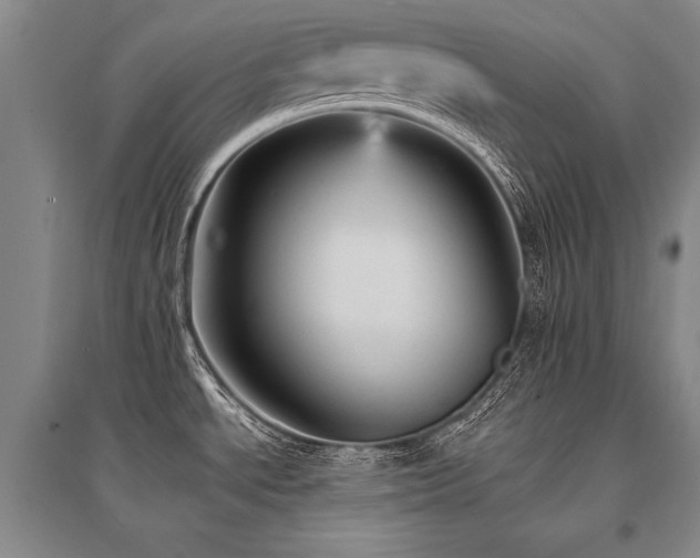 X0000095521534200712141434