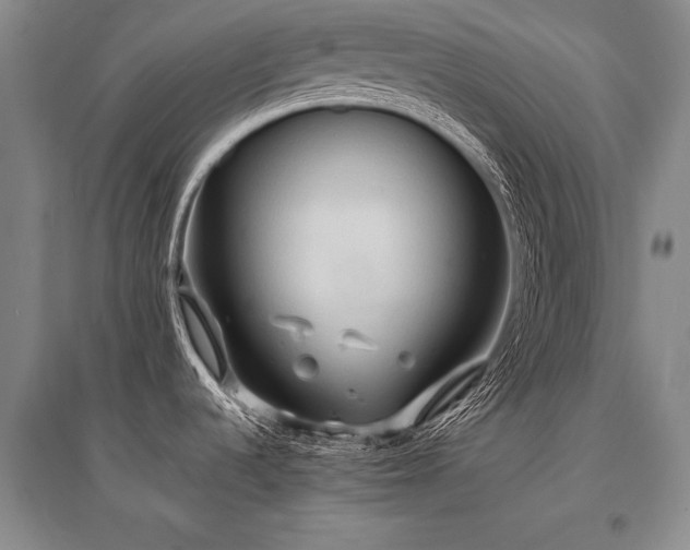 X0000095521536200712141434