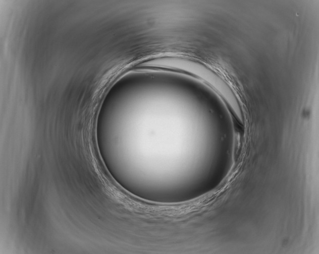 X0000095520001200712211313