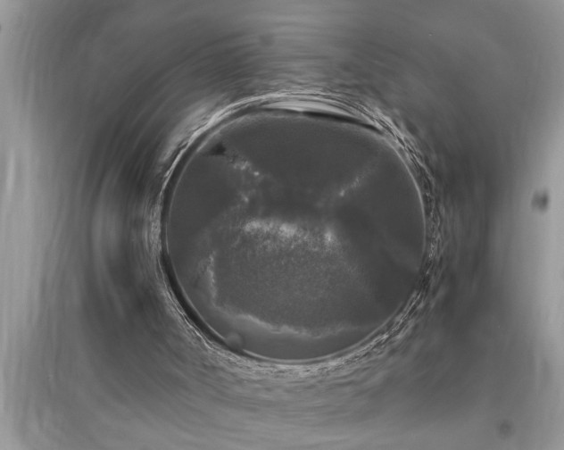 X0000095520002200712211313