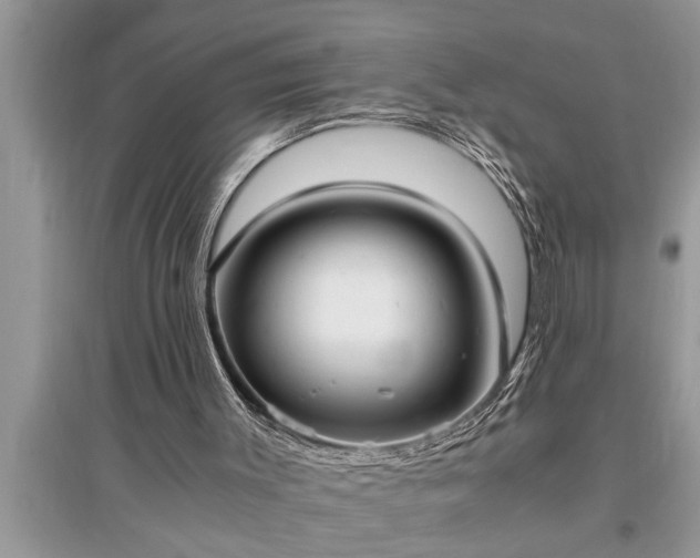 X0000095520003200712211313