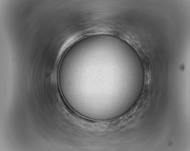 X0000095520004200712211313