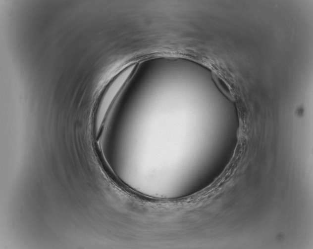 X0000095520005200712211313