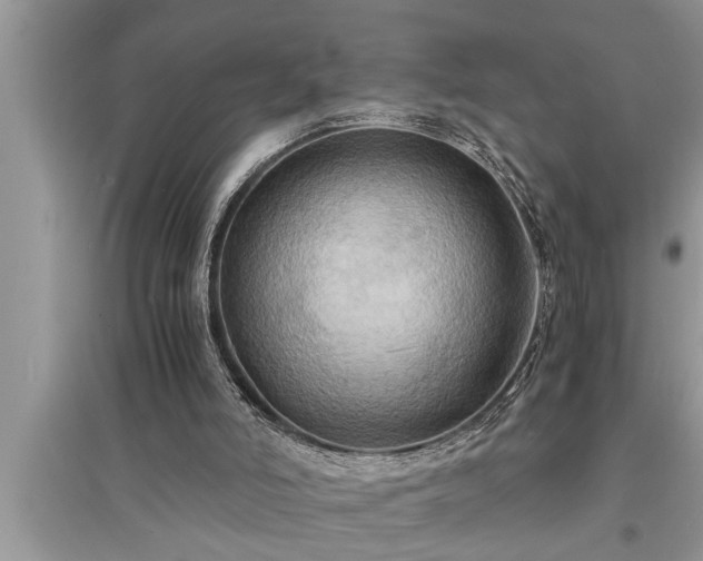 X0000095520006200712211313