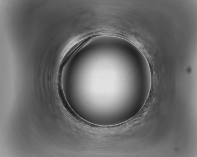 X0000095520007200712211313