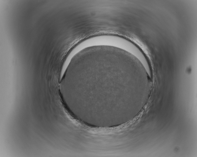 X0000095520009200712211313