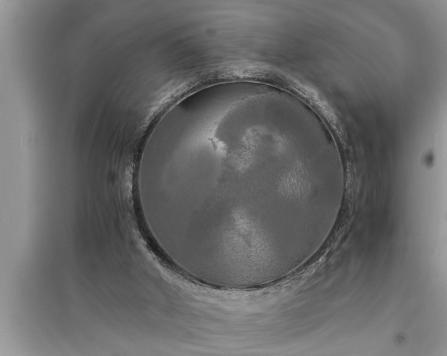 X0000095520010200712211313