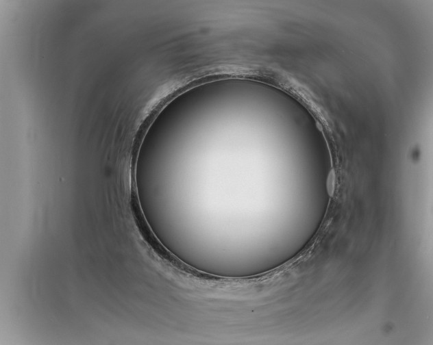 X0000095520011200712211313