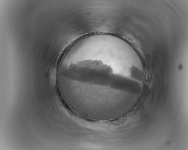 X0000095520012200712211313