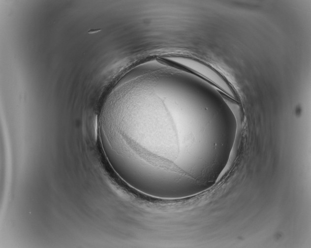 X0000095520013200712211313