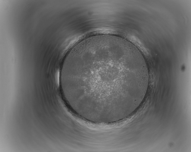 X0000095520014200712211313