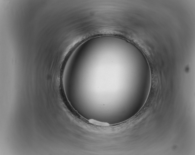 X0000095520015200712211313