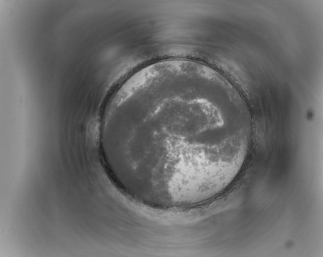 X0000095520016200712211313