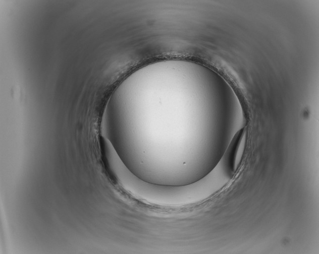 X0000095520017200712211313