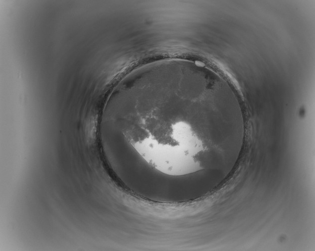 X0000095520018200712211313