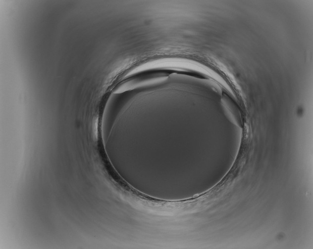 X0000095520019200712211313