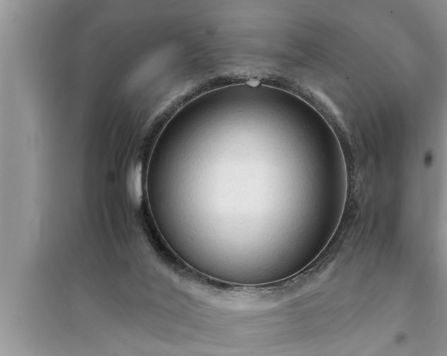 X0000095520020200712211313