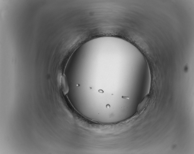 X0000095520021200712211313