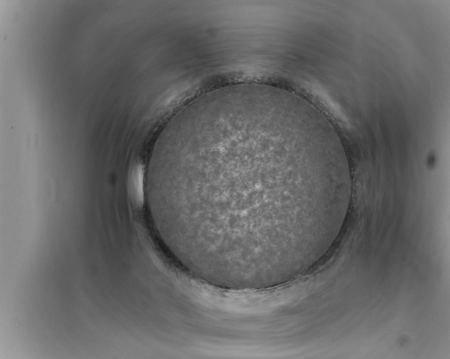 X0000095520022200712211313