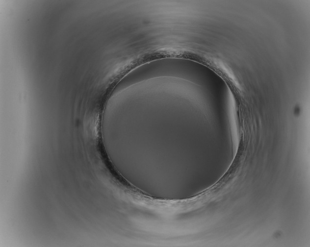 X0000095520023200712211313