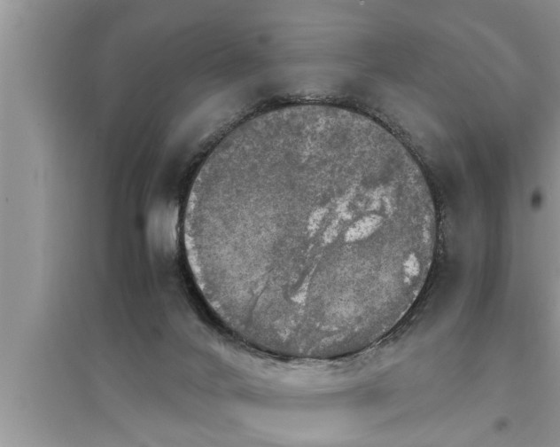 X0000095520024200712211313