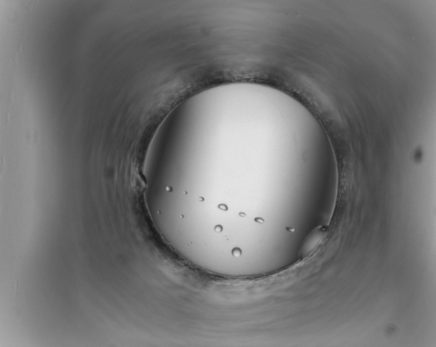 X0000095520025200712211313