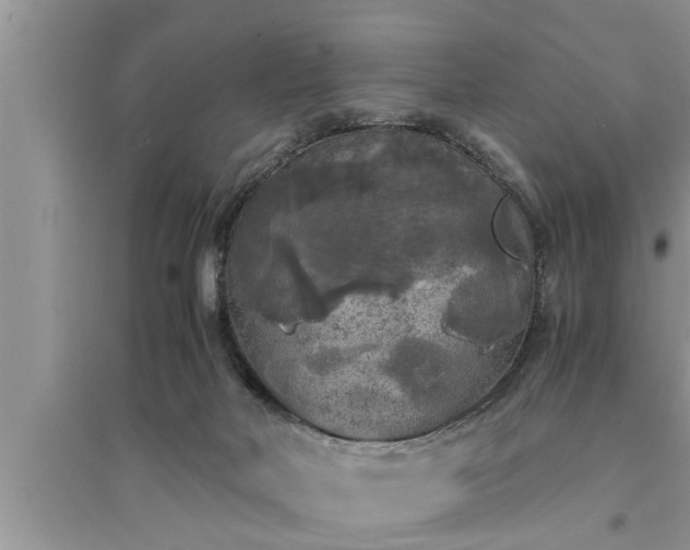 X0000095520026200712211313