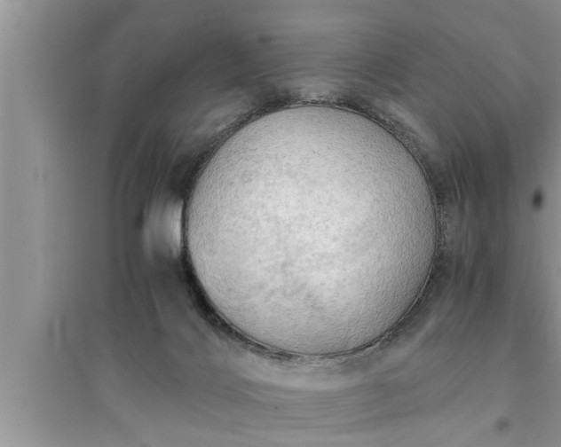 X0000095520028200712211313