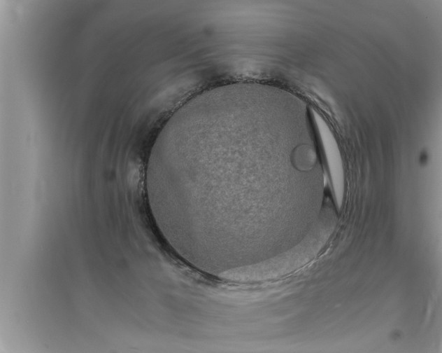 X0000095520029200712211313