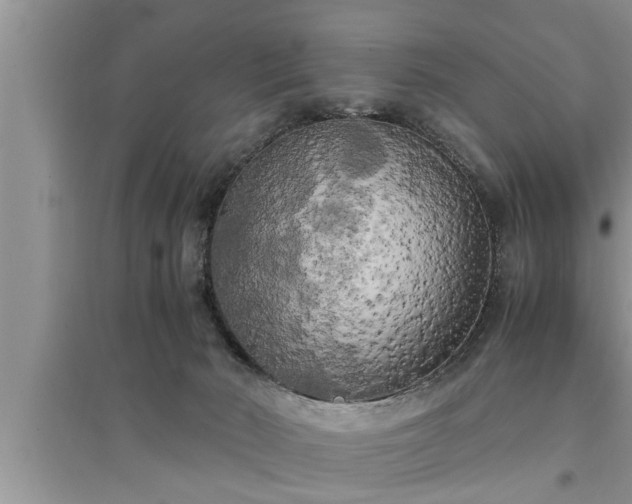 X0000095520030200712211313