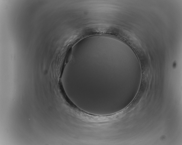 X0000095520031200712211313