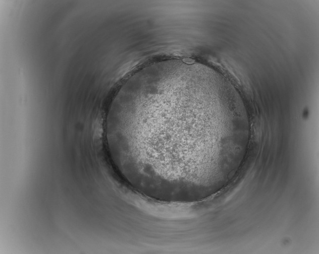 X0000095520032200712211313