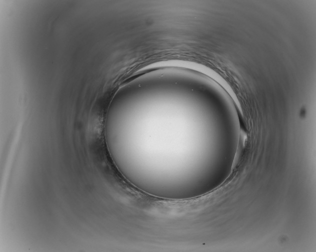 X0000095520033200712211313