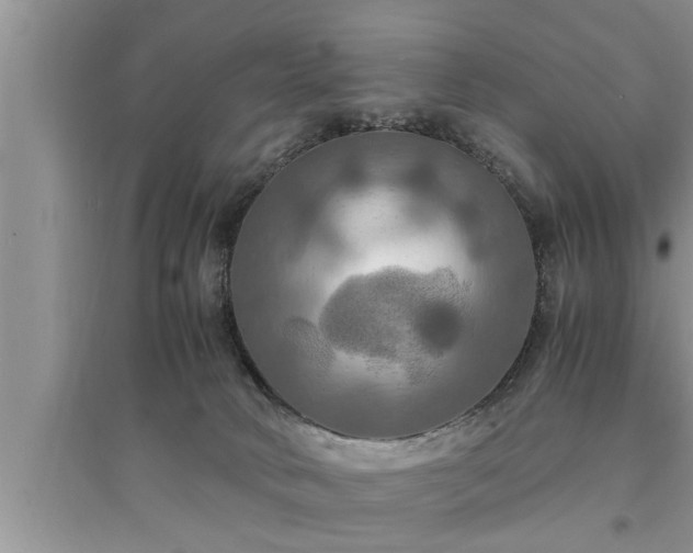 X0000095520034200712211313