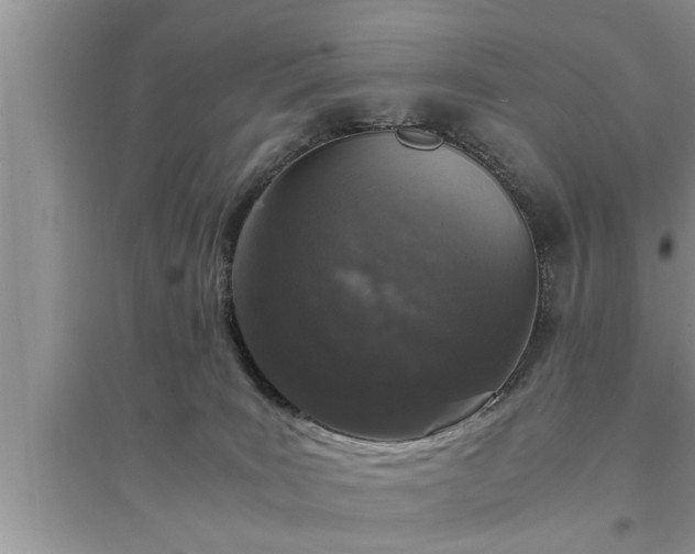 X0000095520035200712211313